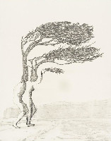 Simon Benson, 2019, The Wind Formed _ Kilve, potlood/papier, 45 x 35 cm.
PHŒBUS•Rotterdam
